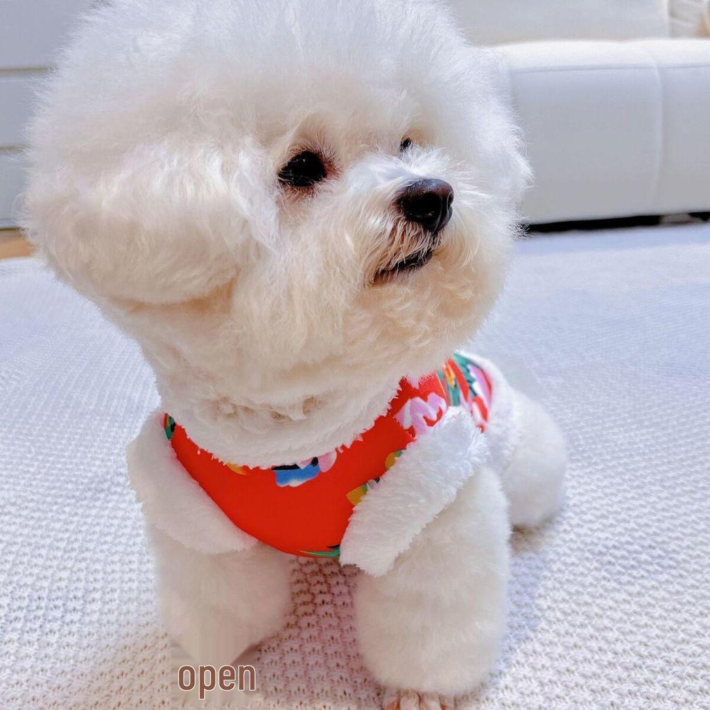 Puppy & Cat Floral Cotton-Padded Winter Jacket – Warm, Anti-Shedding for Small, Medium, Large Dogs