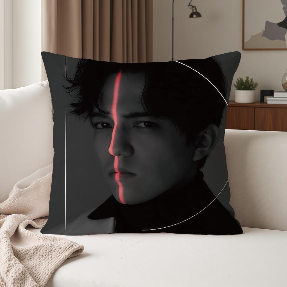 Singer DDimash KKudaibergen Pillow Case Suitable For Bedrooms Living Rooms Cars Home Decoration