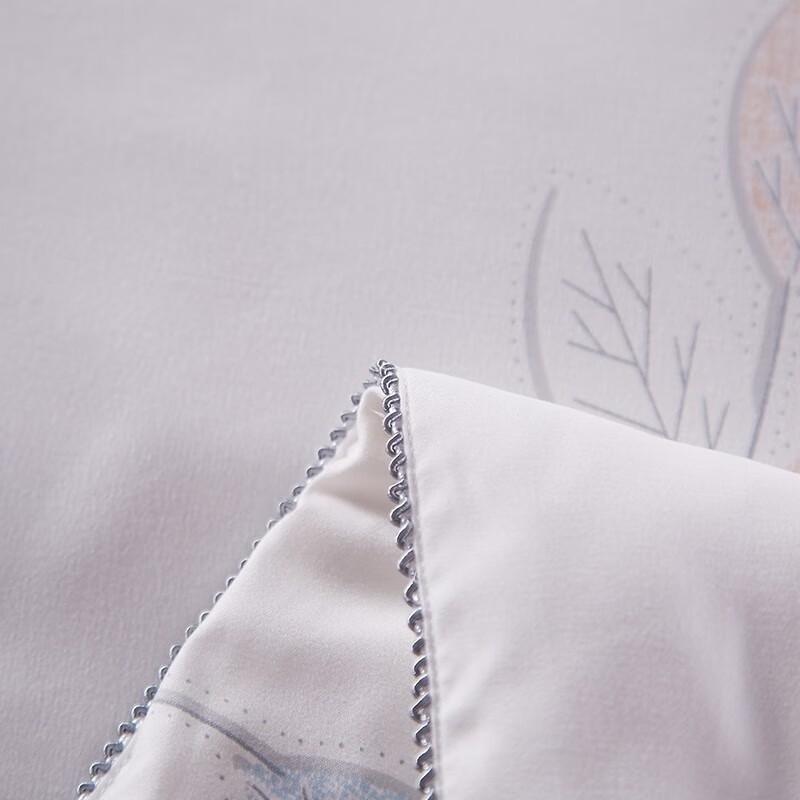 Hengyuanxiang TSB1041 Mulberry Silk Quilt