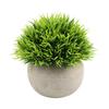 Simulation Green Plant Mini Pot Fake Plants Fake Flowers Bonsai Indoor Living Room Desktop Decoration Photo Props