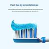 Cold Sour Spirit Arctic Fresh Sensitive Teeth Pump Toothpaste