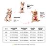 Weiches Echts Leder Hundegeschirr Leinen Set Kleine Mittlere Hunde Katzen Geschirr Weste Für Chihuahua Französische Bulldogge Laufen Training