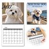 Thick Paper Monthly Planner 2027 Maltese Wall Calendar, Cute Dog Photography Hanging Pet Jan.2027-Dec.2027 12 for Home Office Academic Organizer