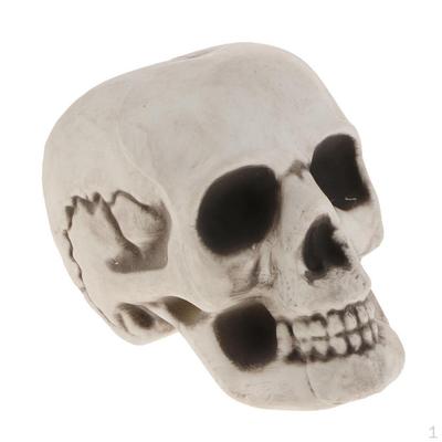 Collectible Skeleton Decorative Figurine Halloween Decor Skull Sculpture Statue