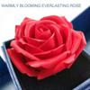 Enchanted Real Rose In A Box Romantic Gifts For Her On Valentines Day Mothers Day Anniversary Birthday Party Festival Gift Box