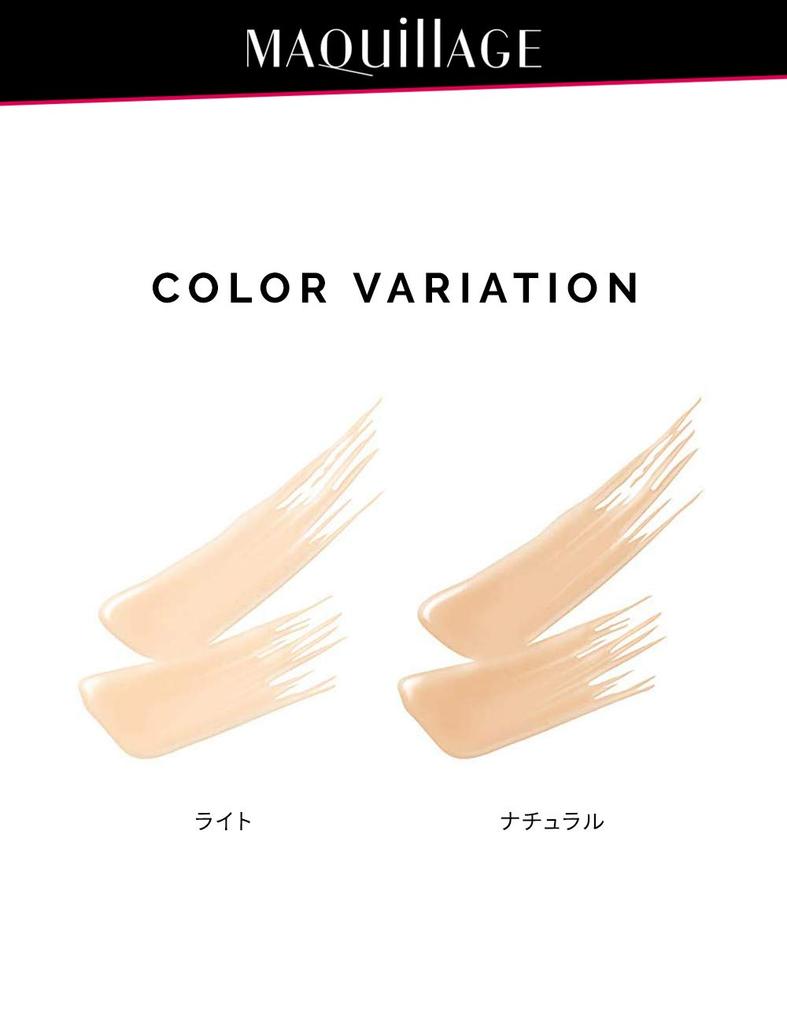 Maquillage Concealer Liquid EX Natural Brush Type 2.5g