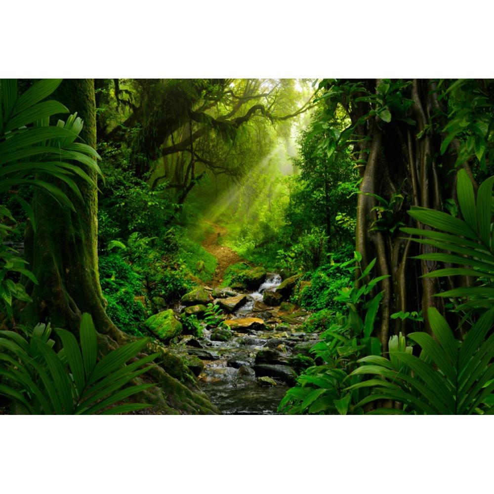 Spring Forest Backdrop Tropical Jungle Rainforest Backdrops for Photography Camping Adventure Birthday Background Photo Studio