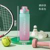 Water bottle high value matte gradual change color plastic cup outdoor large capacity sports water cup flip straw fitness water cup wholesale