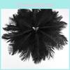 Hochwertige 10 Stück natürliche Straußenfedern für außergewöhnliche Party- und Eventdekoration
