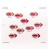 LAKA Fruchtiger Lip Glotioner 10ml(10 Farben)