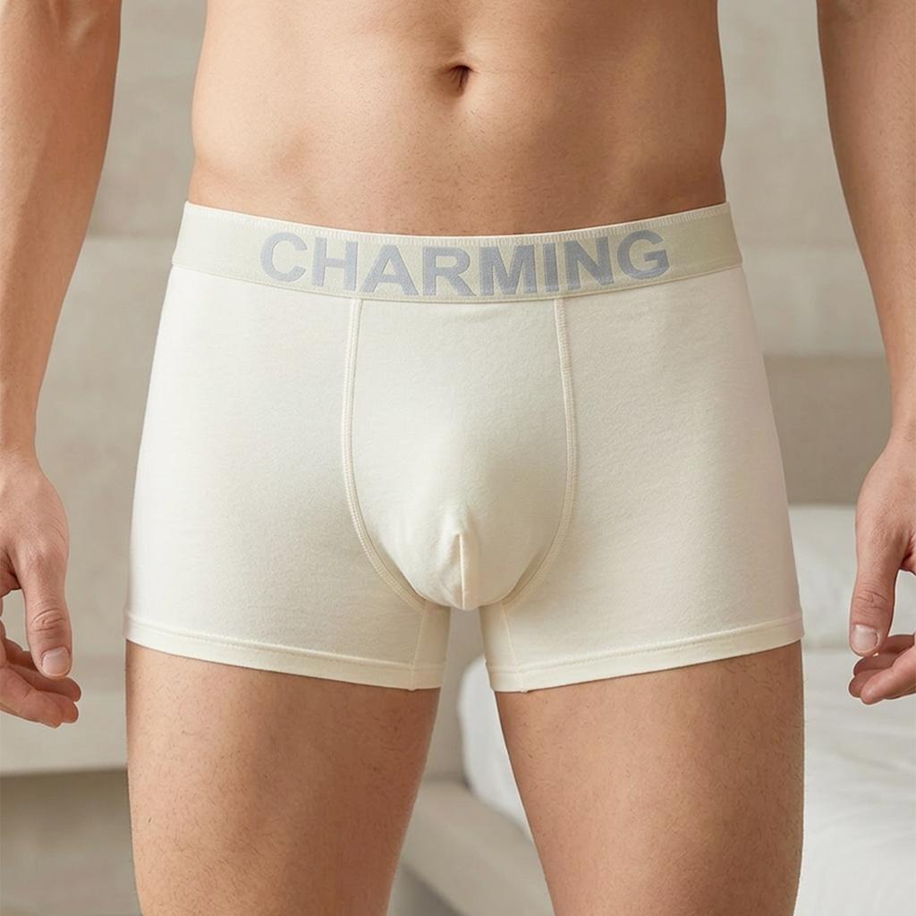 Men's Spring Summer 10A Antibacterial Cotton Comfortable and Breathable Briefs