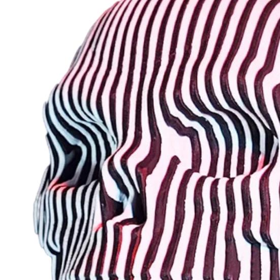 Quantums Skull Wall Decoration Home Office Living Room Bathroom Wall Art Spooky 3D Printed Skull Sculpture Figurine Statue Wall Ornament