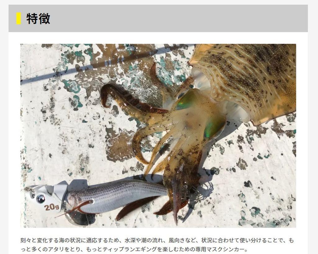 YAMASHITA TR Sinker 10g O Egi-Oh 565-485