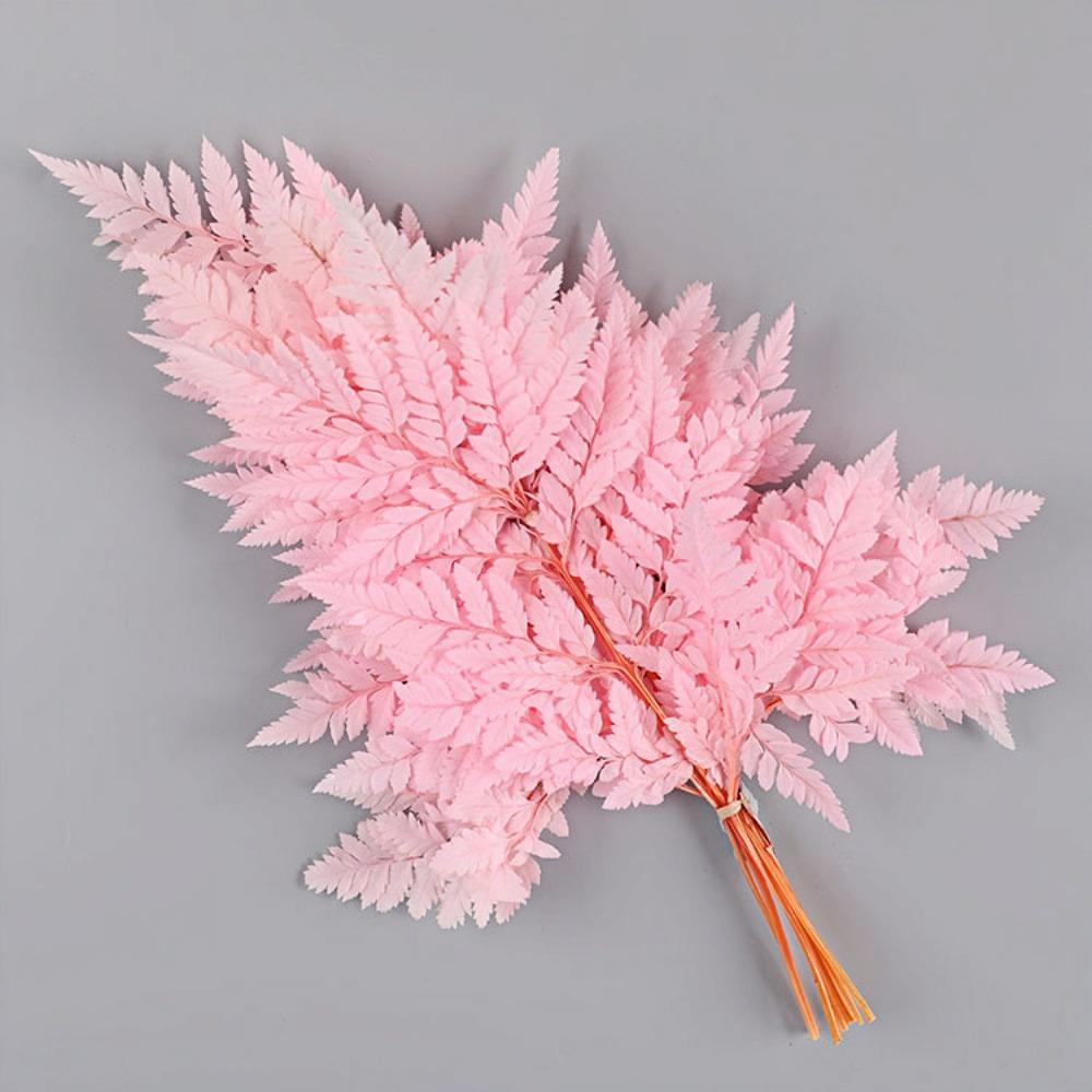 Preserved Fern Leaf for Home Decoration,Eternal Life,Natural Real Fern Plant,Handmade Flowers Material,Wedding,Home, 5Pcs,10Pcs