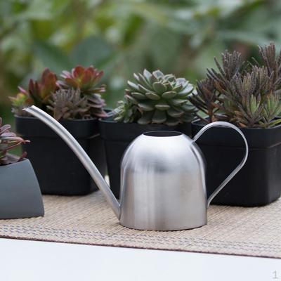 1 Piece Long Mouth Stainless Steel Watering Flower Kettle 500ml For Gardening Pot Or Indoor