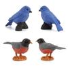 Mini Bird Model Set With Pvc Material For Collection And Display