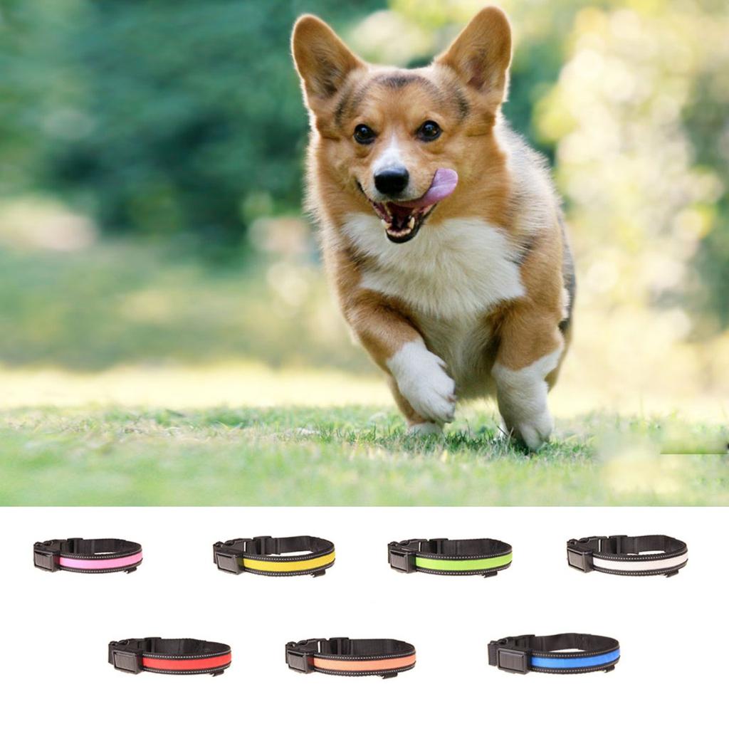 solar powered dog collar