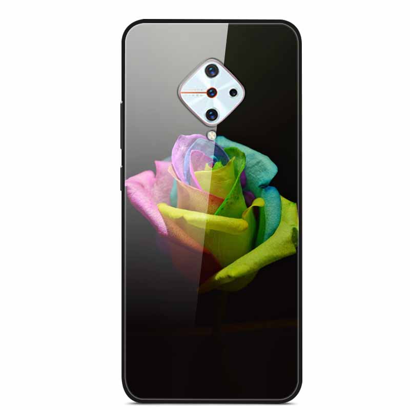 Tempered Glass Case For Vivo V17 Case Russia Glass Back Cover Soft Bumper For Vivo V17 Phone Cases V 17 Funda Y9s S1 Pro Coque