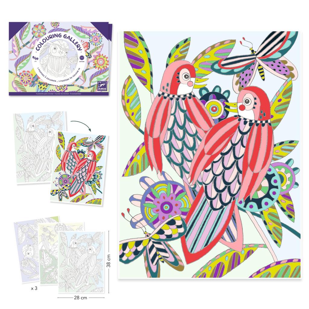 DJECO Coloring Gallery Bird Coloring Set Adult Coloring Patterns A fun hobby for ages and 10 Boys and Girls Perfect for school entrance and - Book