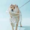 Dogs Going Out Transparent Waterproof Raincoat With Hat Raincoat For Small And Medium-sized Dogs For Rainy Days Walking