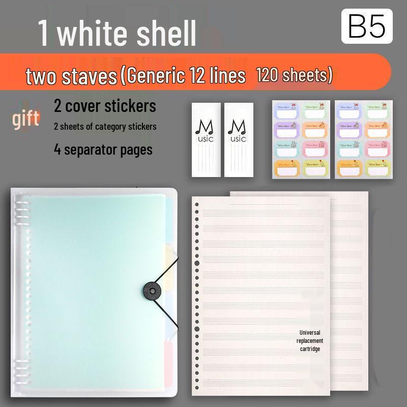 Professional Loose-leaf Music Staff Paper Book: Wide Spacing for Beginners and Students (Large Grid)