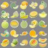 51-Piece Waterproof Cantaloupe Melon Cartoon Sticker Set for Phones, Notebooks, and Luggage