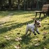 Quilted Full Body Dog Jumpsuit with Four Leg Coverage and Harness Opening for Small and Medium Pets