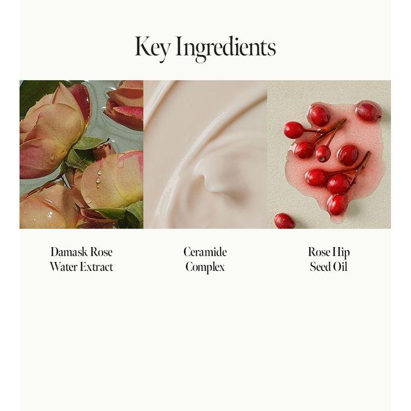 anillo Rosy Nachtreparatur-Shampoo