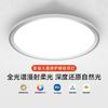 Sitanku Full Spectrum Eye Protection Ceiling Light
