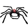 Spider and Skull Costume for Small to Medium Pets