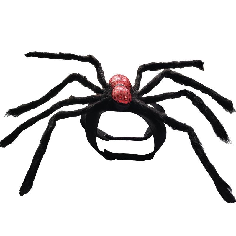 Spider and Skull Costume for Small to Medium Pets