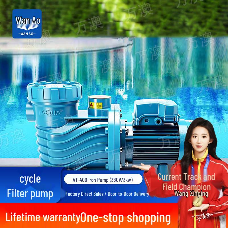 WanAo Iron Pool Pump