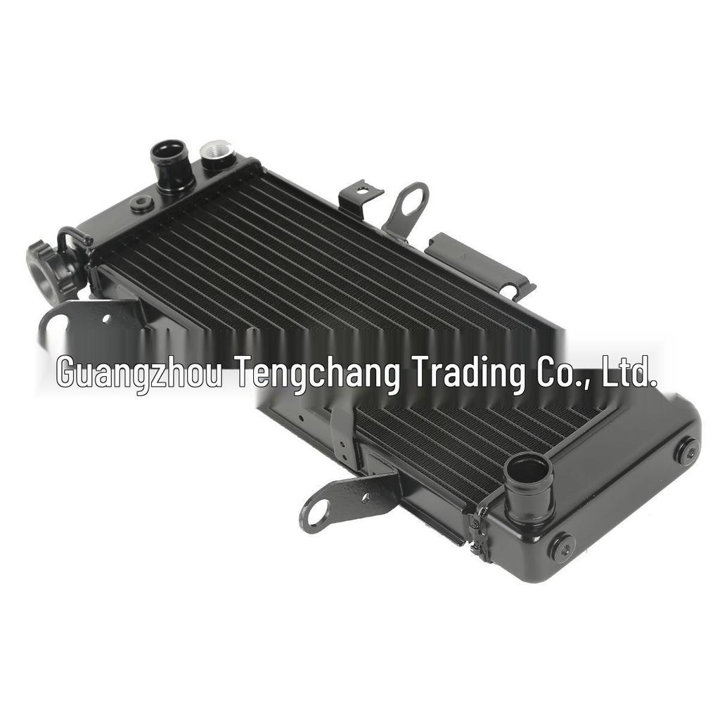 SV650 S Motorcycle Radiator Cooler (2003-2007) Modification Accessories