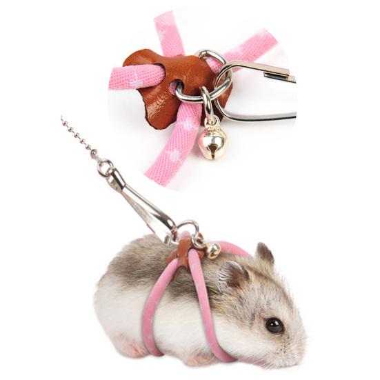 dwarf hamster on a leash