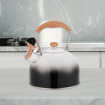 Bouilloire en acier inoxydable pour usage extérieur