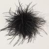 Broches à Plumes Grandes 8-10cm Design Exagéré Broche à Plumes Accessoires Accessoires pour Cheveux