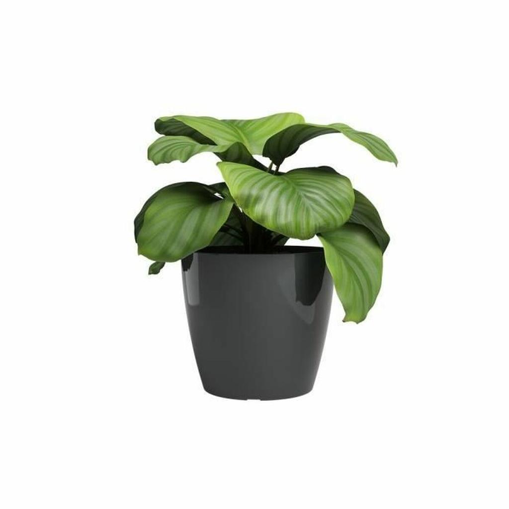 Planter Artevasi SAN REMO Anthracite Ø 30 Cm