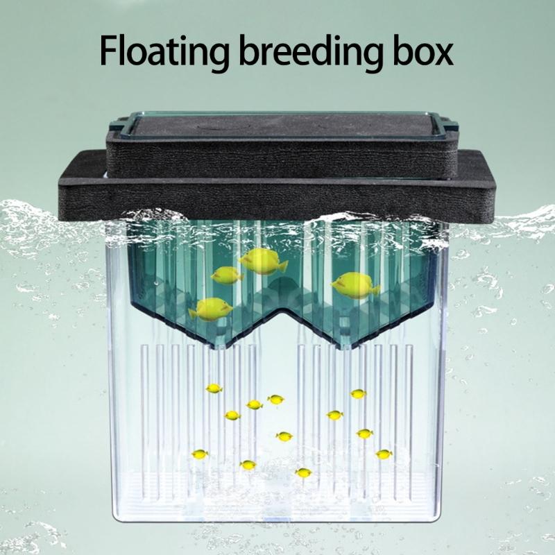 MultiPurpose Floating Hatchery Breeding Container For Water Plant Fish Eggs Clear Hatching Nursery Box Easy to Clean