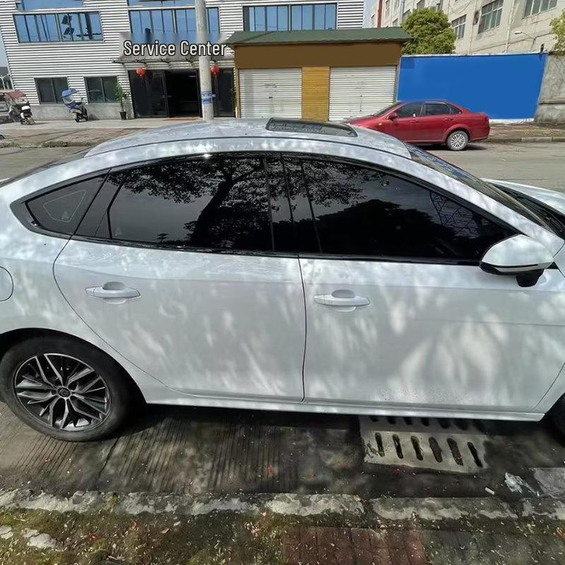 BYD Destroyer 05 Rearview Mirror Cover & Fuel Tank Cap Trim