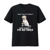What Day Is Today Who Care Im Retired Funny Labrador Dog T shirt vintage Washed Slightly Comfortable Stretched Versatile