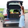 DSDCDJ Car Storage Trunk Car Storage Car Trunk Storage Car Trunk Large Easy Back Passenger Car Storage Car Bag Box, Storage, Pocket, Box, Box,
