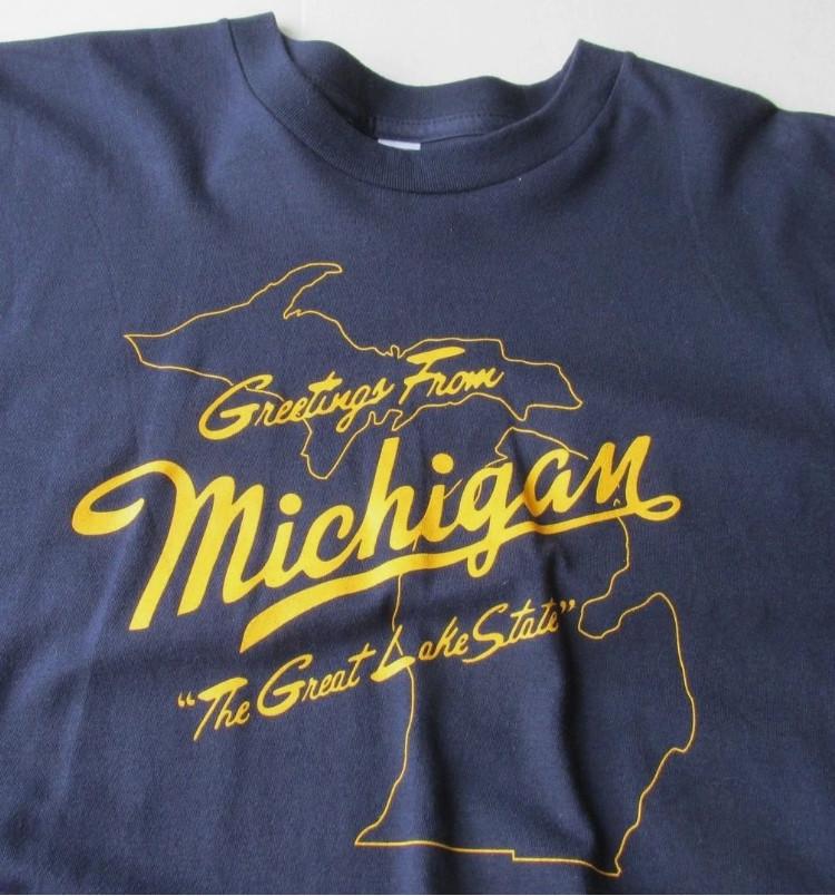 Sufjan Stevens Greetings From Michigan Unisex Cotton All Sizes TShirt Unisex T-Shirt XXL
