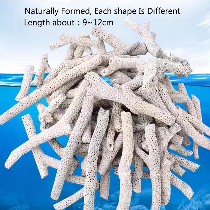 

High Quality Natural Reef Coral Bone Aquarium Filter Medium Biological material Coral Sands for PH Steady Fish Tank Filtration 140g