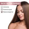 1-3X Zephta H-Regrow 2.0, Zephta Hair Regrowth, Prorevita Rice Nutri Spray, for Hair