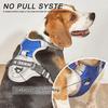 Chest for Dog Harness for Dogs Puppy Accessories Collars Harnesses Leashes Pet Dog Products Collar Leash