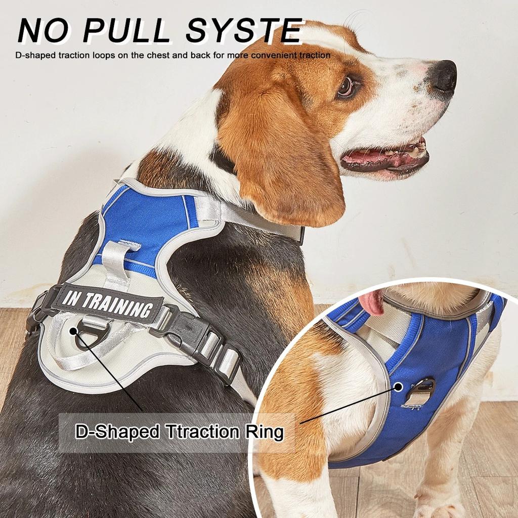 Chest for Dog Harness for Dogs Puppy Accessories Collars Harnesses Leashes Pet Dog Products Collar Leash