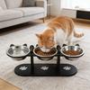 Elevated Pet Feeder with Double Bowls for Food Water, Anti-Vomit Design Dogs Cats Pet Treats Bowl