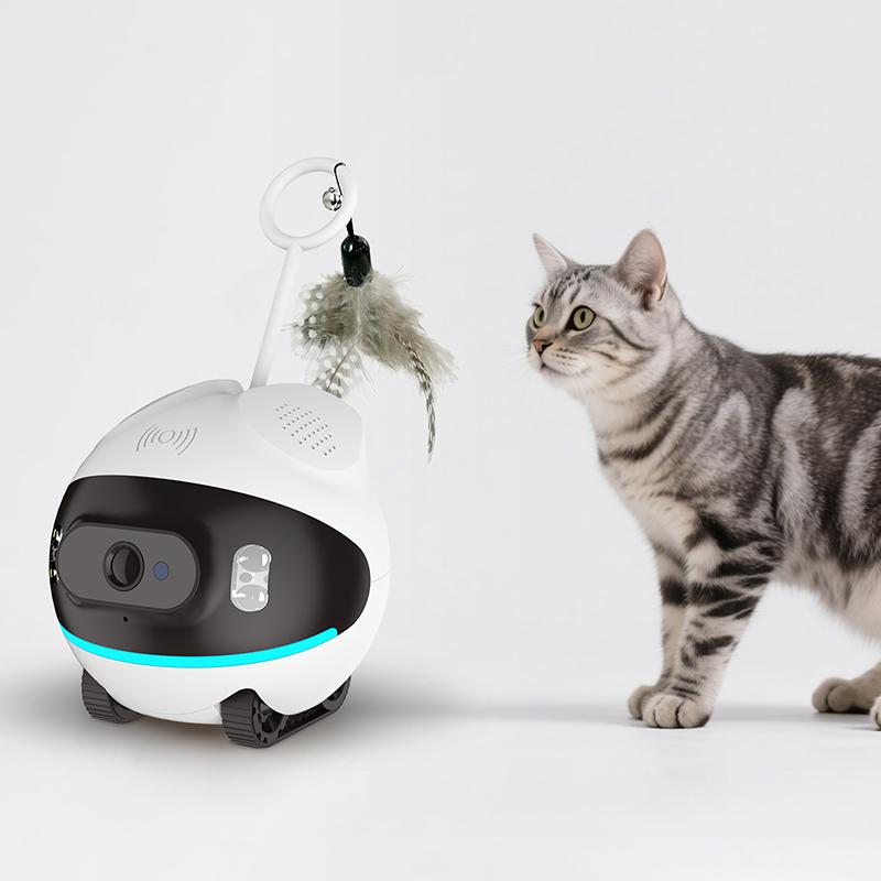 Custom Smart Plastic Pet Camera With Motion Detection Reusable Wireless And Internet Alerts For Cats For Living Room Or Kitchen