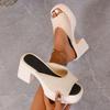 2025 Summer Women's Open-Toe Thick Platform Flip Flops New Outdoor Chunky Heel Slide Slip Minimalist High Heels Zapatos