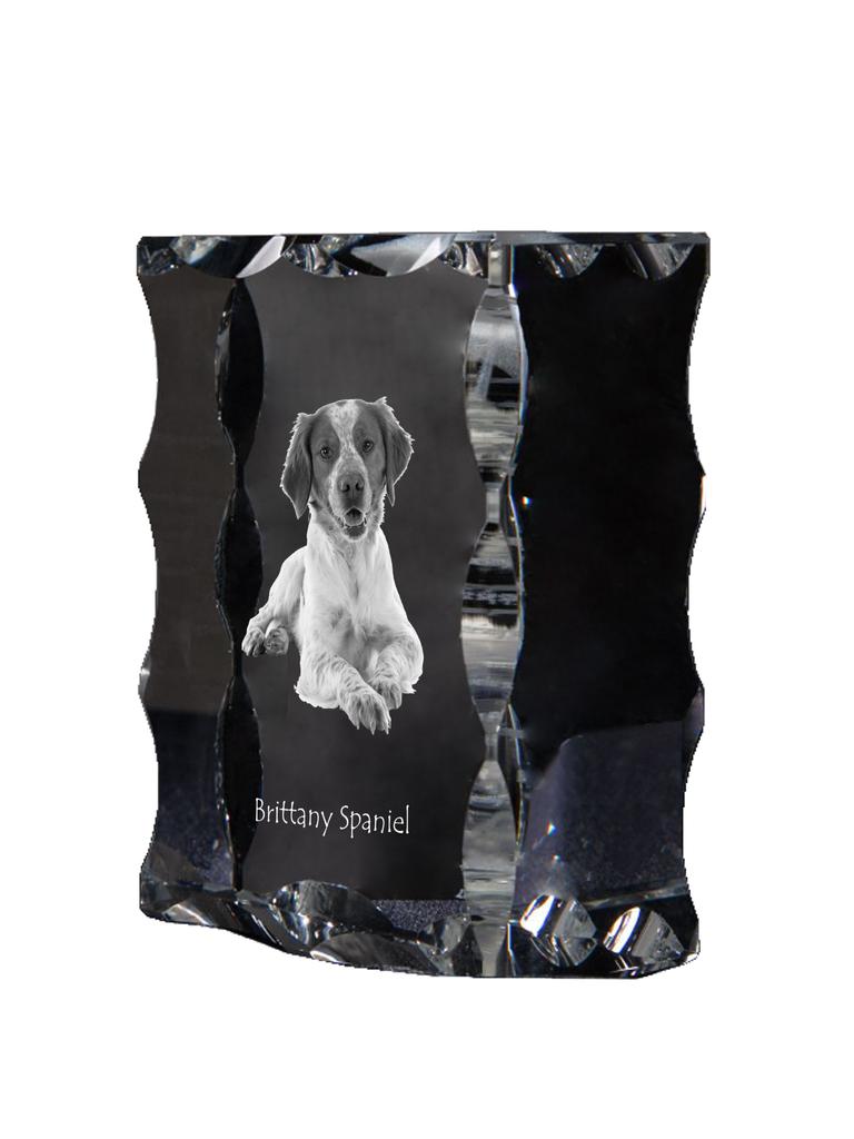 Brittany Spaniel, Brittany Wiegref – Crystal with a picture of a dog, glass statuette with a picture | Art-Dog